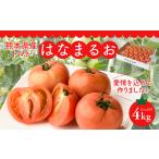 fu.... налог [ предшествующий предварительный заказ ] Kumamoto префектура производство помидор Hanamaru .4kg помидор ... свежий салат овощи .... плата город производство Kyushu [2025 год 12 месяц средний ... последовательный departure.. Kumamoto префектура . плата город 