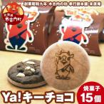ya キーチョコ 焼菓子 15個