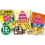 ポテトチップス BIGBAG 3種