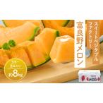 ふるさと納税 【2026年夏発送】※訳あり 富良野 メロン 約8kg 〈3玉〜8玉入り〉メロン フルーツ 果物 北海道富良野市