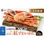 ふるさと納税 かに 紅ずわいがに≪浜茹で≫ × 1杯 この道50年の職人が選びました!【3月発送分】【カニ 蟹 姿 冷蔵 福井県】【紅ズワイガニ.. 福井県越前町