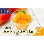 石垣産カットマンゴー1kg 250g×4袋