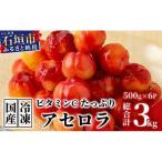 ZH-20 沖縄 石垣島産 アセロラ3kg