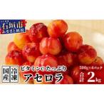 ZH-21 沖縄 石垣島産 アセロラ2kg