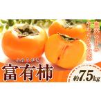 富有柿 約7.5kg