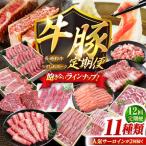12回定期便 長崎和牛 長崎うずしおポーク
