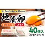 fu.... налог Tama . яйцо L размер 40 шт CBB001 Tama . яйцо Nagasaki префектура запад море город 