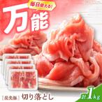 豚肉切り落とし 1kg
