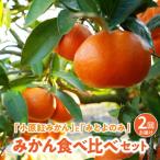 みとよのみ みかん食べ比べセット