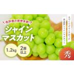 ショッピングふるさと納税 シャインマスカット ふるさと納税 完熟 シャインマスカット 2房以上 1.2kg 山梨シャインマスカット 山梨県甲斐市
