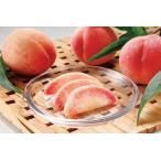 ふるさと納税 和歌山県産 白鳳 桃 11〜16玉入り 訳あり ご家庭用 数量限定［2026年6月下旬以降発送］［MG91］ 和歌山県海南市