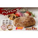 ふるさと納税 【最速配送】中山牧場 佐賀牛ハンバーグ 6個|ハンバーグ ハンバーグ ハンバーグ ハンバーグ ハンバーグ ハンバーグ【B053】 佐賀県玄海町