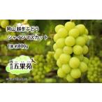 ぶどう 越冬ぶどう シャインマスカット 1房
