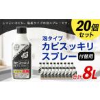 付替用 カビスッキリスプレー 防カビ お掃除