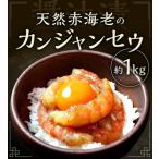 ふるさと納税 赤海老カンジャンセウ_カンジャンセウ 約 1kg 海老 韓国料理 カンジャンセウ丼 天然赤海老 特製 醤油ダレ漬け 本場 韓国 海産物 .. 福岡県久留米市