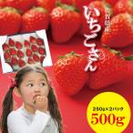R9年1月中旬頃出荷開始 佐賀ブランド苺