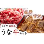 豪華 松阪牛と鰻の贅沢うな牛セット うなぎ