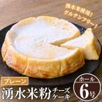 神田茶園の湧水米粉チーズケーキ プレーン