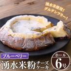 神田茶園の湧水米粉チーズケーキ ブルーベリー