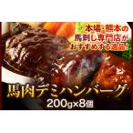 馬肉デミハンバーグ計1.6kg 千興ファーム