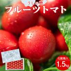 トマト フルーツトマト 1.5kg
