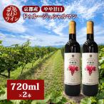 赤ワイン 2本
