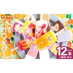 ふるさと納税 フルーツアイス 12種 アイス 特産フルーツ  ys-0012 高知県香南市