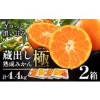 ふるさと納税 みかん 極 蔵出し熟成 2箱《2月発送》みかん 徳島県佐那河内村