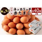 ふるさと納税 ＜児湯養鶏自慢の卵＞ネッカリッチ赤たまご「児湯一番」2箱40個【B19】 宮崎県新富町