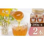 大和蜜 天然はちみつ 280g×2本