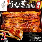 鰻 蒲焼 3尾
