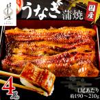 鰻 蒲焼 4尾