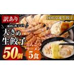 大きめ餃子50個&おまけとんこつラーメン5食付き 合計2kg