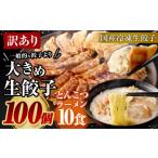 大きめ餃子100個&おまけとんこつラーメン10食付き 合計4kg