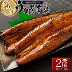 鰻 2尾