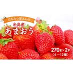 はちみつ屋さんの糸島産 あまおう 270g×2パック