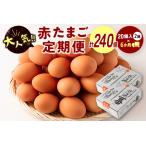 ふるさと納税 ＜児湯養鶏自慢の卵＞ネッカリッチ赤たまご「児湯一番」 計240個 （20個入×2箱）×6か月定期便【D15】 宮崎県新富町