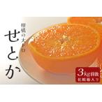 せとか 約3kg