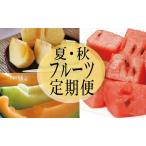 SE0505 自然の恵み 夏 秋フルーツ定期便2026