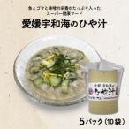 冷や汁 冷汁 5パック