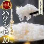 精米 ハツシモ 10kg