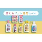 手ピカ満足セット 指定医薬部外品