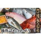 うすき豊後水道物語 豊後水道うすき地魚詰め合わせA