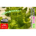 ふるさと納税 【定期便 3ヶ月連続】洗わずに食べられる！たむらの愛され野菜 ミックスリーフセット　10個 群馬県東吾妻町