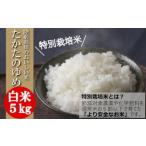 令和6年産 特別栽培米 白米 5kg