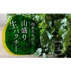 fu.... налог запад статья название вода ... гора пик сырой кориандр 1.5kg Ehime префектура запад статья город 