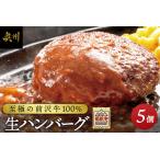 至極の前沢牛100%生ハンバーグ5個セット