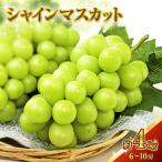シャインマスカット ぶどう 皮ごと