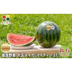 ふるさと納税 【2026夏発送】富良野産 大玉 スイカ 2L（7kg〜）1玉 【マイティ21】北海道 ふらの すいか 西瓜 夏 フルーツ ふらの 甘い 糖度 .. 北海道富良野市