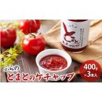 ケチャップ 富良野産 とまと